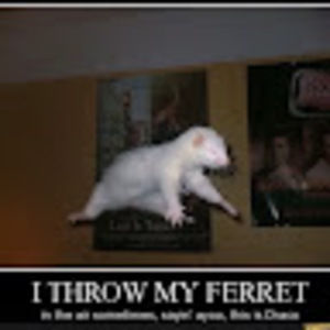 Meet your Posher, Ella